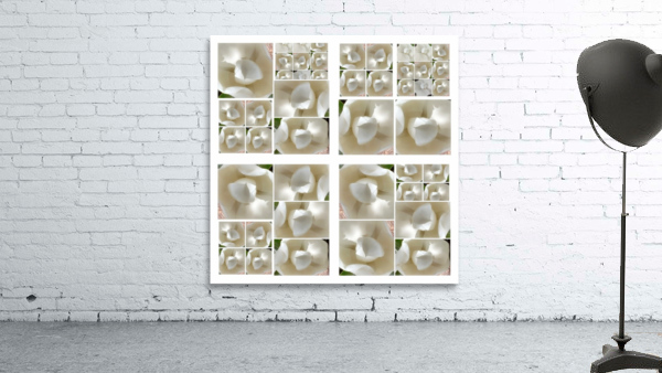 V225 Wall Preview