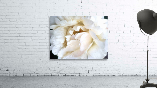 V304 Wall Preview