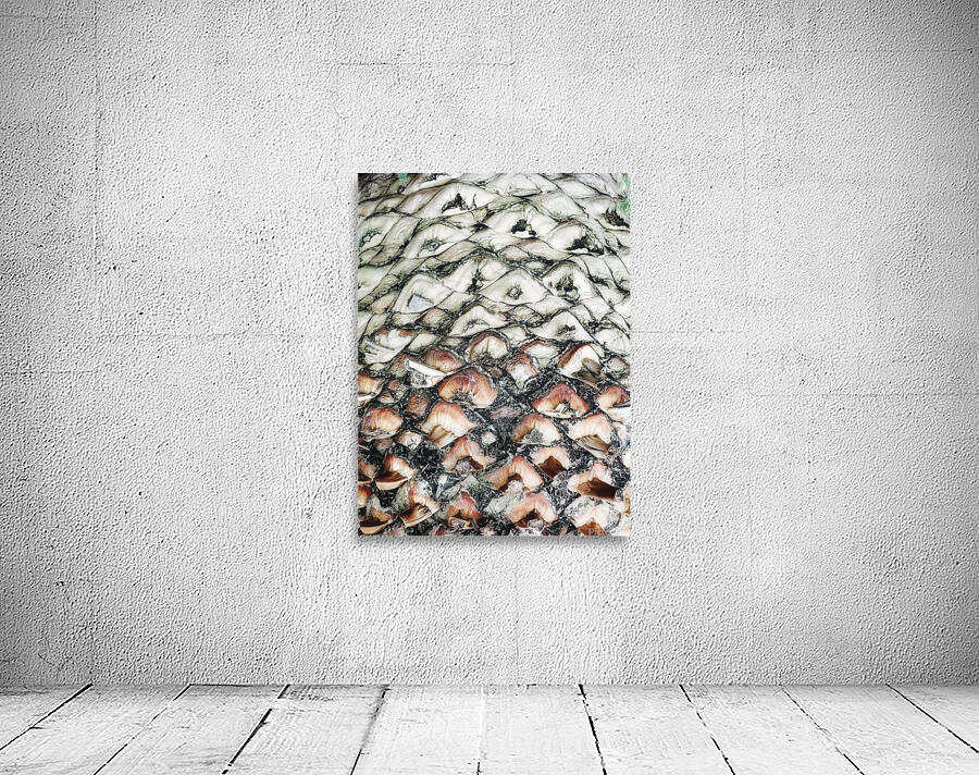 V309 Wall Preview