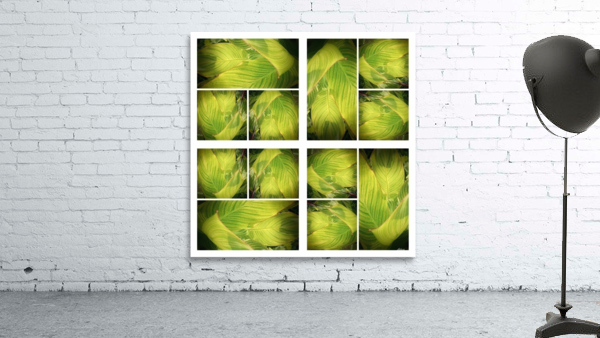 V318 Wall Preview
