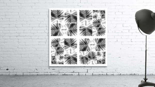 V341 Wall Preview