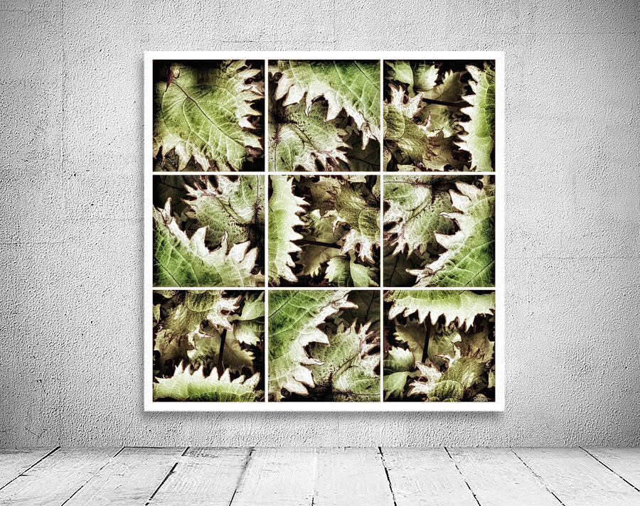 V342 Wall Preview