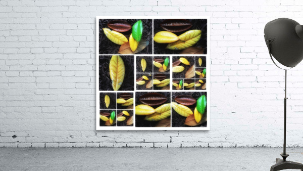 V345 Wall Preview