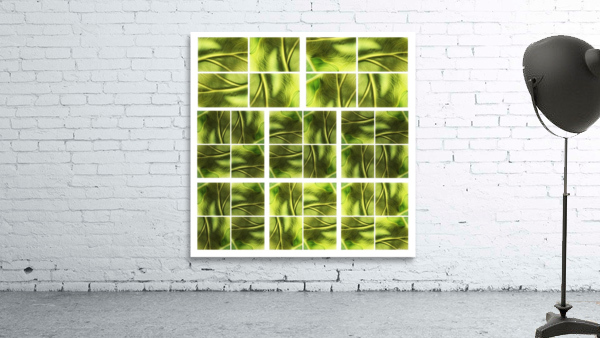 V347 Wall Preview