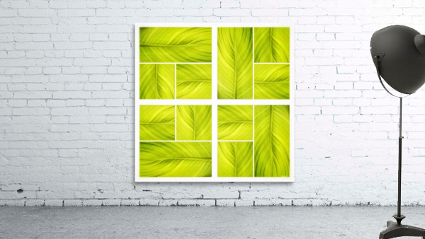 V354 Wall Preview