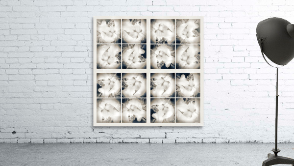 V357 Wall Preview