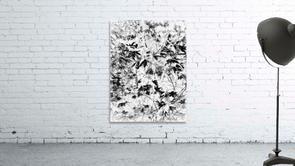 V372 Wall Preview