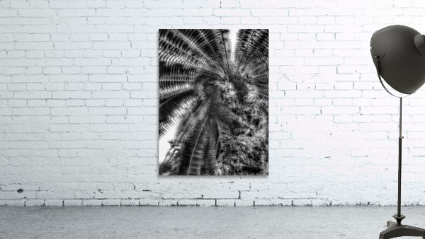 V375 Wall Preview