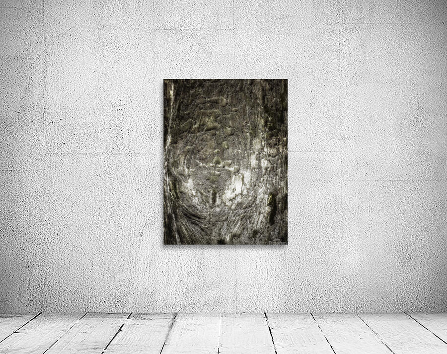 V481 Wall Preview