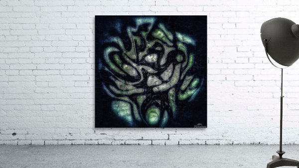 V559 Wall Preview
