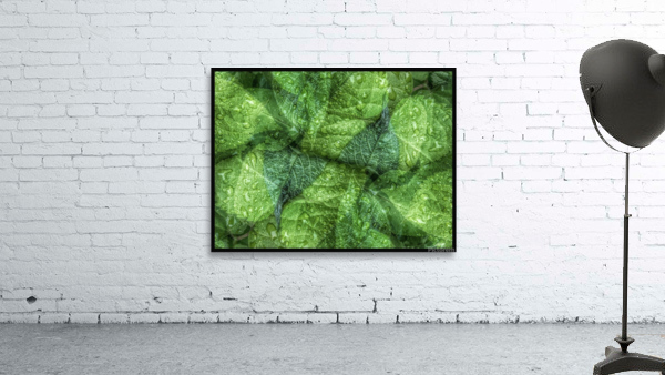 V679 Wall Preview