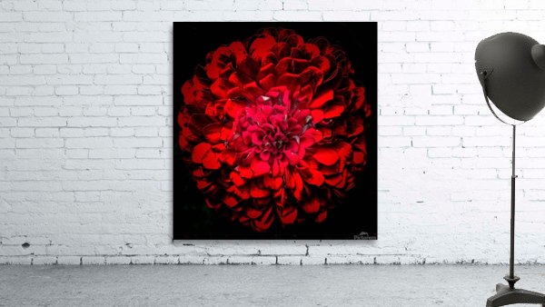 V700 Wall Preview