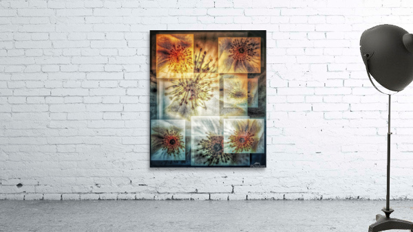 V704 Wall Preview