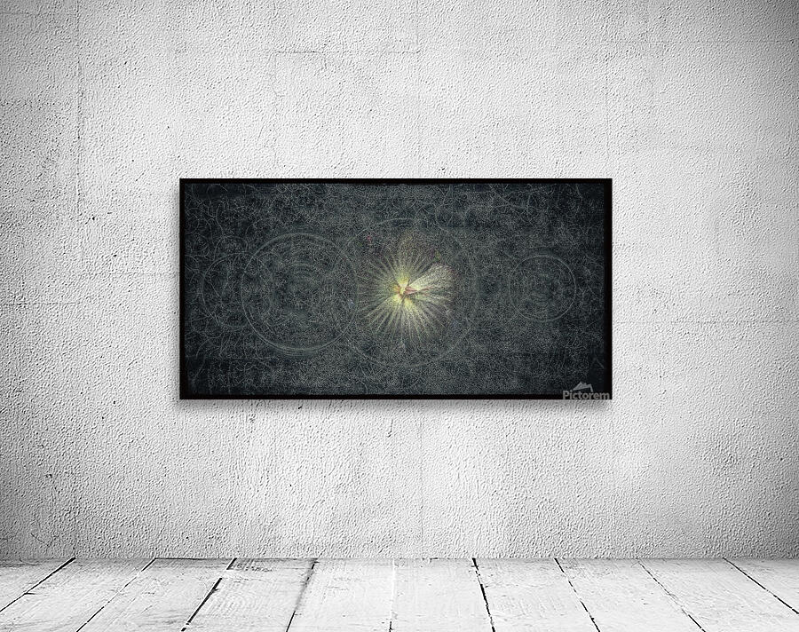 V738 Wall Preview