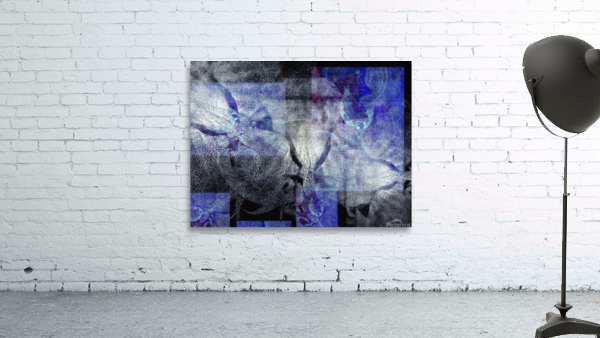 V756 Wall Preview