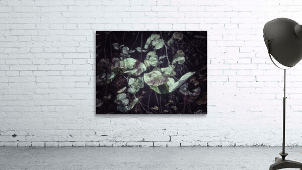 V814 Wall Preview