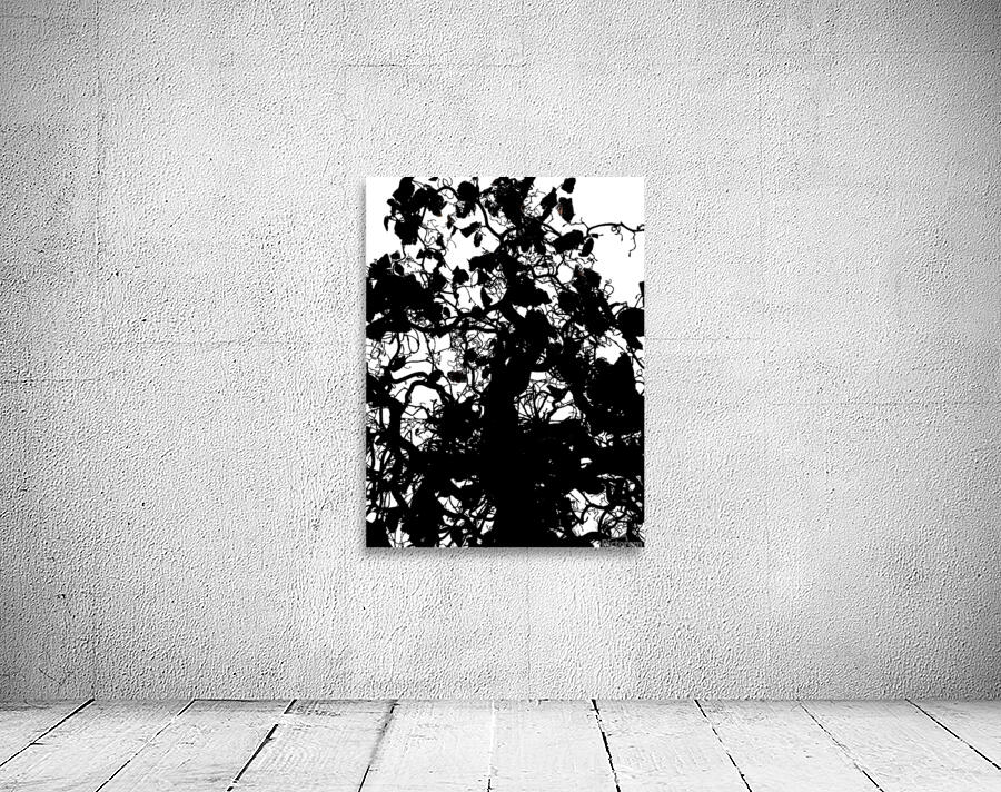 V823 Wall Preview