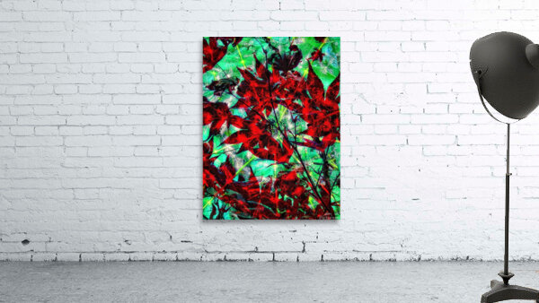 V828 Wall Preview