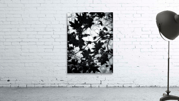 V830 Wall Preview