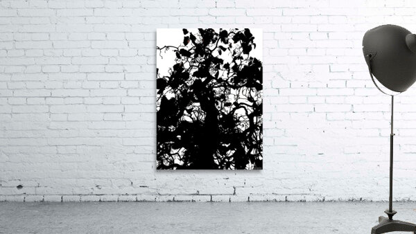 V831 Wall Preview