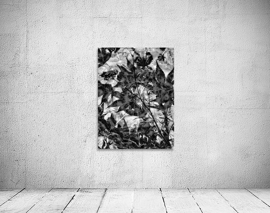 V838 Wall Preview
