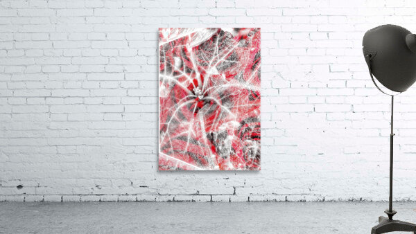 V842 Wall Preview