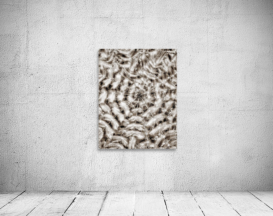 V856 Wall Preview