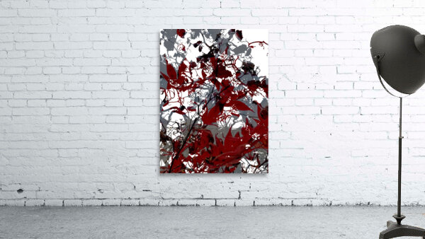 V876 Wall Preview