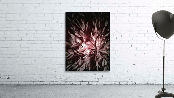 V933 Wall Preview
