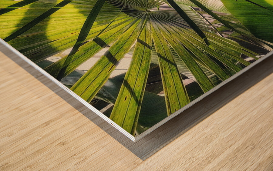 V1279 Wood print