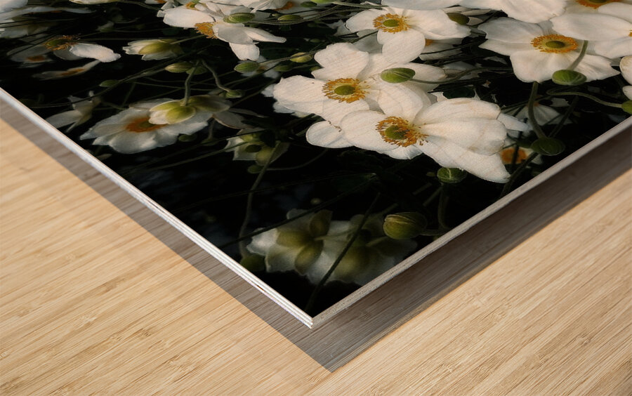 V1286 Wood print