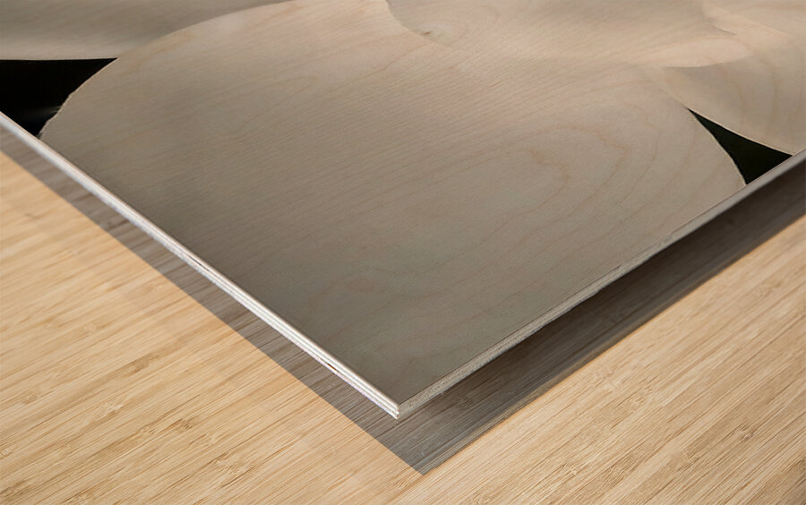 V1295 Wood print