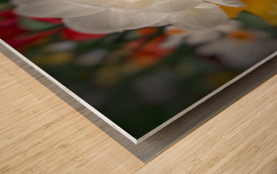V1296 Wood print