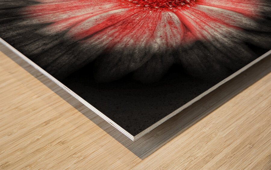 V1297 Wood print