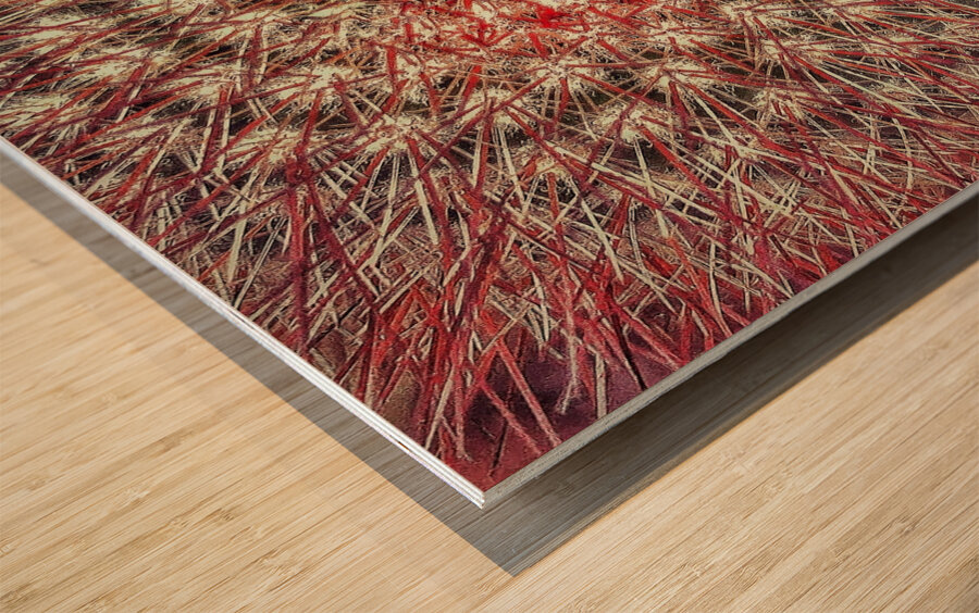 V1362 Wood print