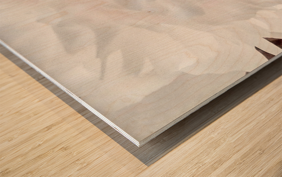 V296 Wood print