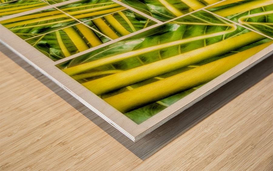 V329 Wood print