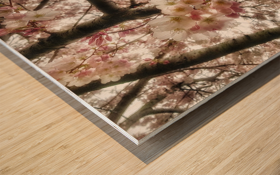 V619 Wood print