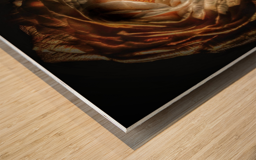 V642 Wood print