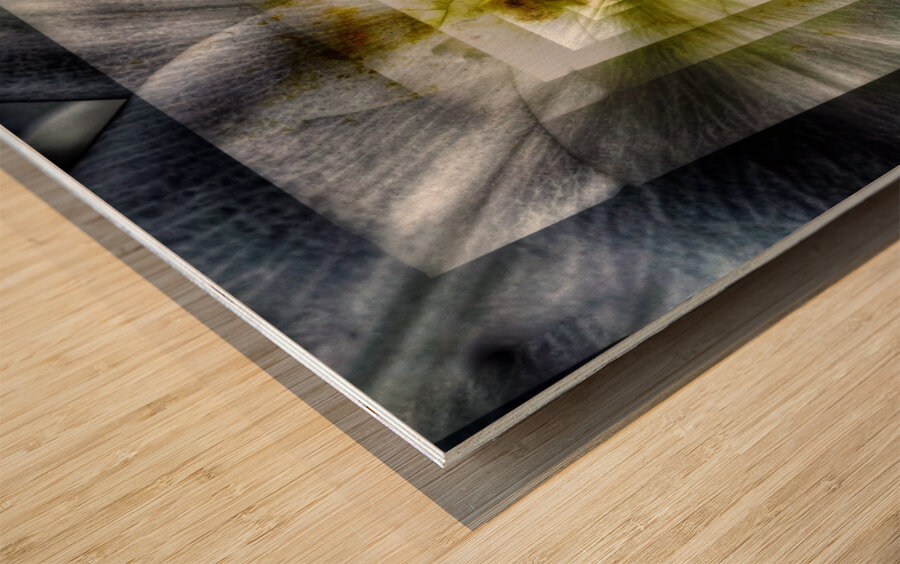 V731 Wood print