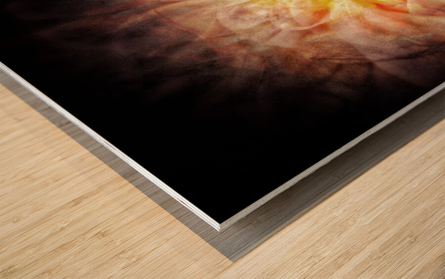V742 Wood print