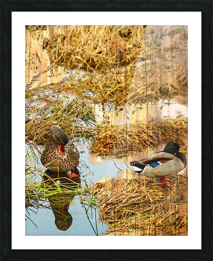 Foie gras x2 Picture Frame print