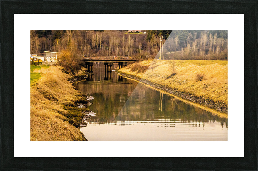 The Bog  2  Picture Frame print