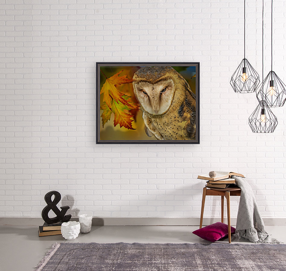 Barn Owl Reproduction