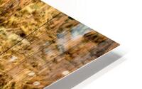 Foie gras x2 HD Metal print
