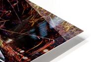 Geese x 4 HD Metal print
