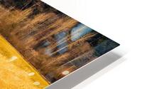 The Bog  2  HD Metal print