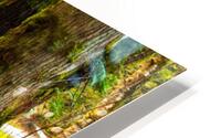 Serpentine Fen  8 HD Metal print