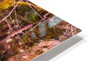 Serpentine Fen   HD Metal print