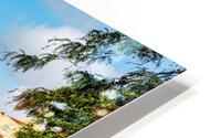 Kelowna July 2021   HD Metal print